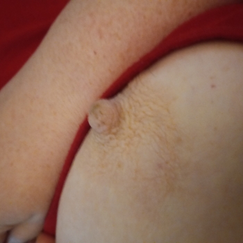 My bbw wife Gigi's very suckable titties